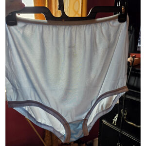 VTG Light Blue Sheer Nylon Panties new without Tags deadstock 11 2X National